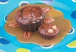 Brownie Turtles