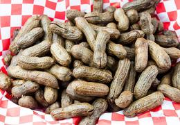 Slow Cooker Boiled Peanuts
