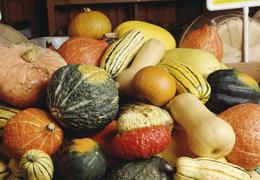 Calabaza Soup