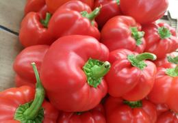Stuffed Red Peppers (Rocoto Relleno)