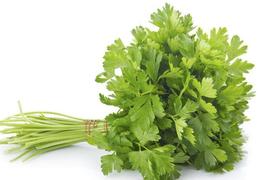 Parsley Sauce